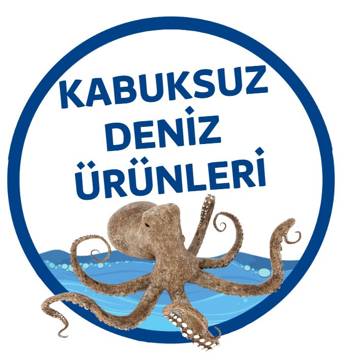5.RESİM